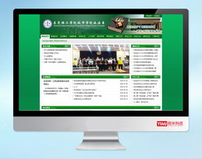 東莞erp開發,東莞網頁設計,定制網站